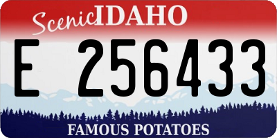 ID license plate E256433