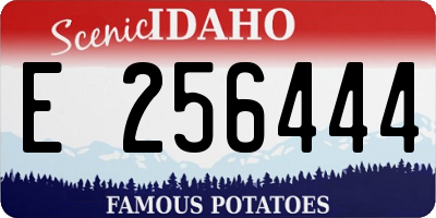 ID license plate E256444