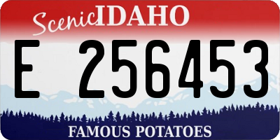 ID license plate E256453