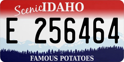 ID license plate E256464