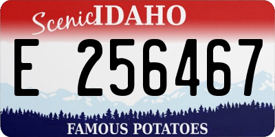 ID license plate E256467