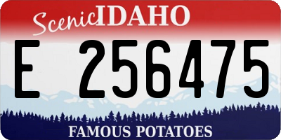 ID license plate E256475