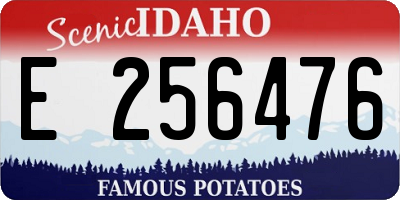 ID license plate E256476
