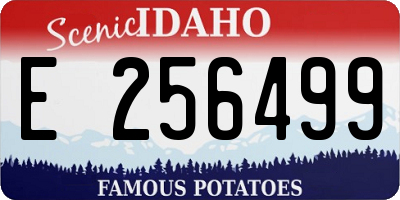 ID license plate E256499