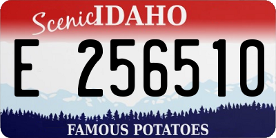 ID license plate E256510