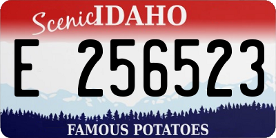 ID license plate E256523
