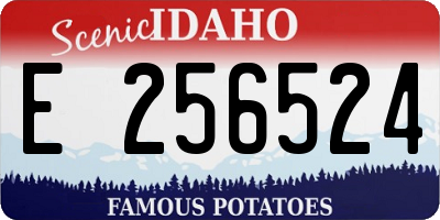 ID license plate E256524