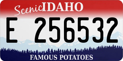 ID license plate E256532