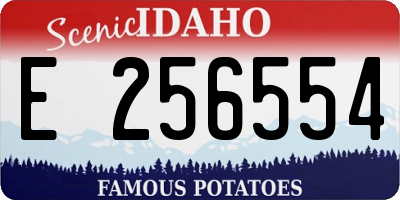 ID license plate E256554