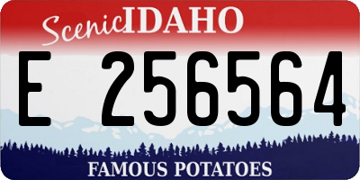 ID license plate E256564