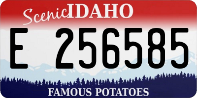 ID license plate E256585