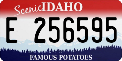 ID license plate E256595