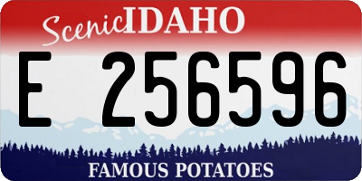 ID license plate E256596