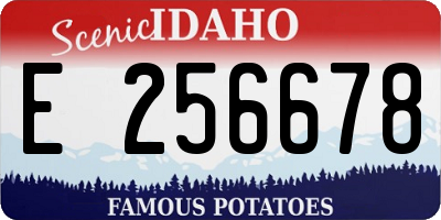 ID license plate E256678