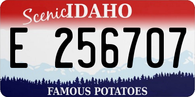 ID license plate E256707