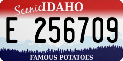 ID license plate E256709