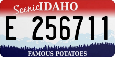 ID license plate E256711
