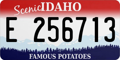 ID license plate E256713