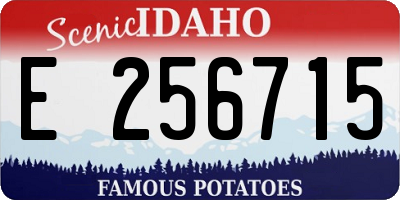 ID license plate E256715