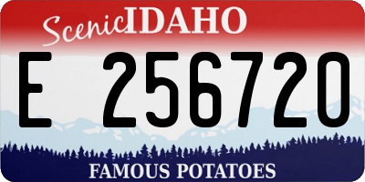 ID license plate E256720