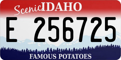 ID license plate E256725