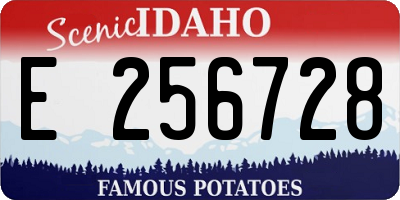 ID license plate E256728