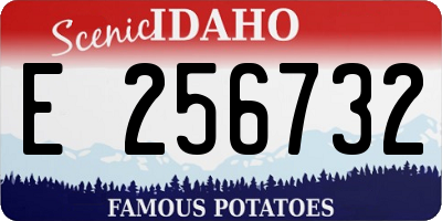 ID license plate E256732