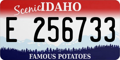ID license plate E256733