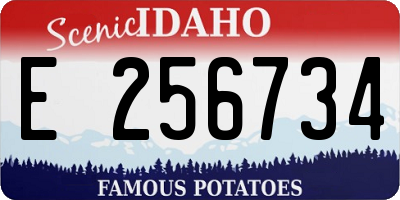 ID license plate E256734