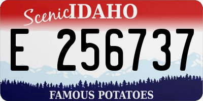 ID license plate E256737