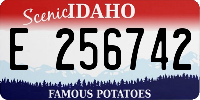 ID license plate E256742