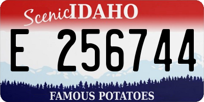 ID license plate E256744