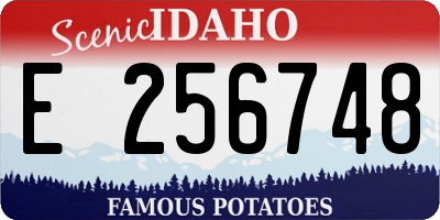 ID license plate E256748