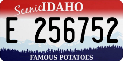 ID license plate E256752