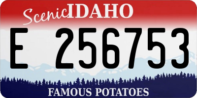 ID license plate E256753
