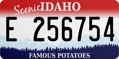ID license plate E256754
