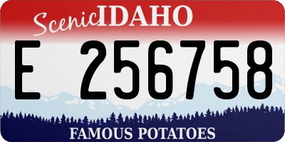ID license plate E256758