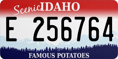 ID license plate E256764