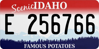 ID license plate E256766