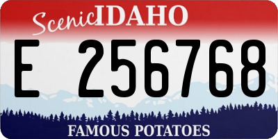 ID license plate E256768