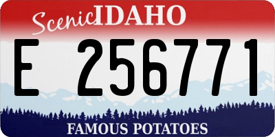 ID license plate E256771
