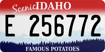 ID license plate E256772