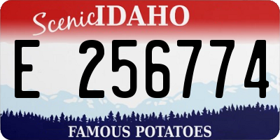 ID license plate E256774
