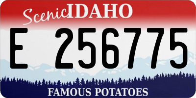 ID license plate E256775