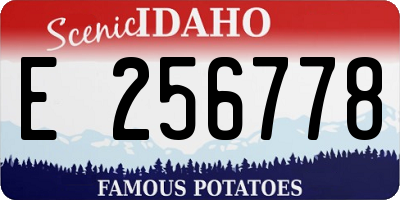ID license plate E256778