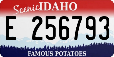 ID license plate E256793