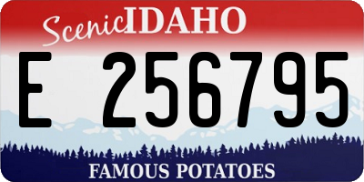 ID license plate E256795