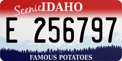 ID license plate E256797