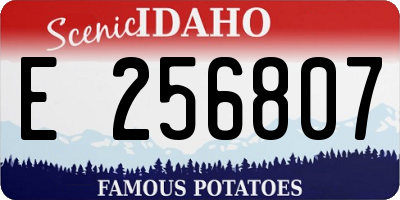 ID license plate E256807