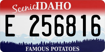 ID license plate E256816